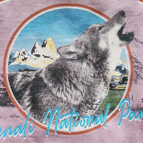 Forever 21 Vintage Alaska Graphic Oversized Sweatshirt - Large - Picture 3 of 4